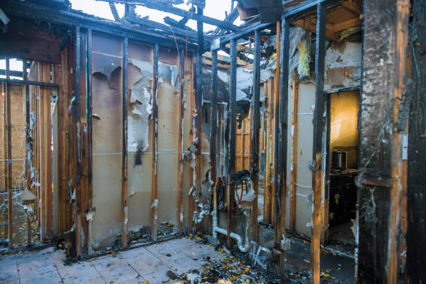 Professional Odor Removal technician working in Holley, NY